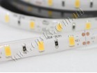 LED лента 5630/60 герметичная (IP65) premium